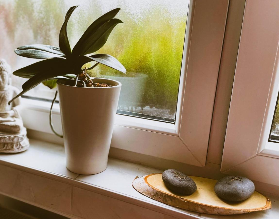 Modernes Appartement Im Gruenen - Stilvoll Und Komfortabel Кьолн Екстериор снимка